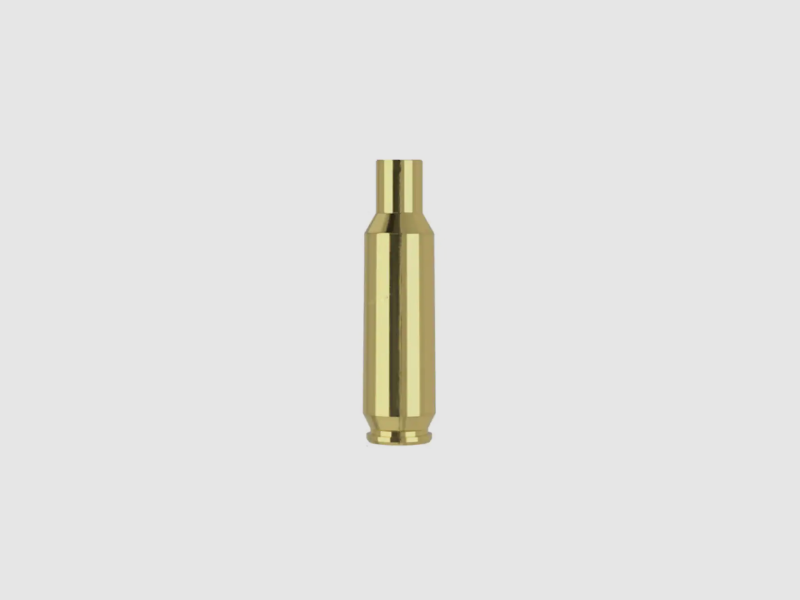 Nosler Hulzen .24 Nosler 250 Stuks