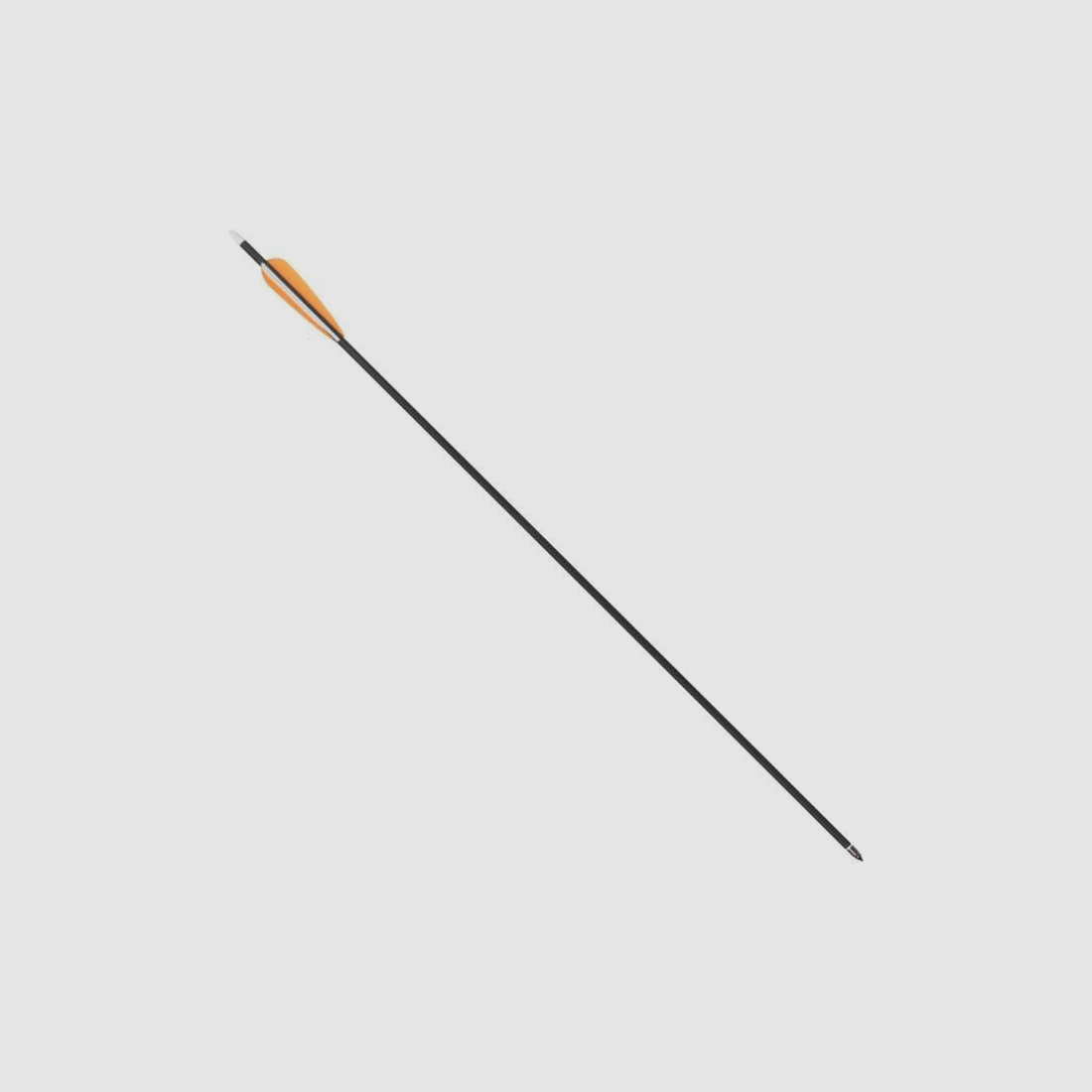 Haller Carbon Pfeil Länge 30" Set 10 Stück
