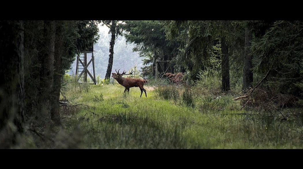 Fjällräven „Urtypen“ - Hirschbrunft in der Lüneburger Heide