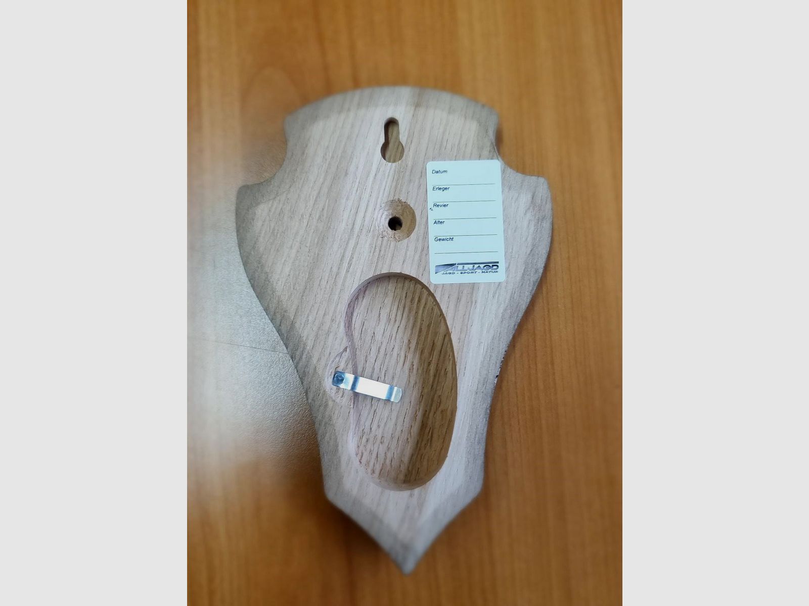 Massives Eichenschild für Rehbock – Spitz – 19 x 12 cm
