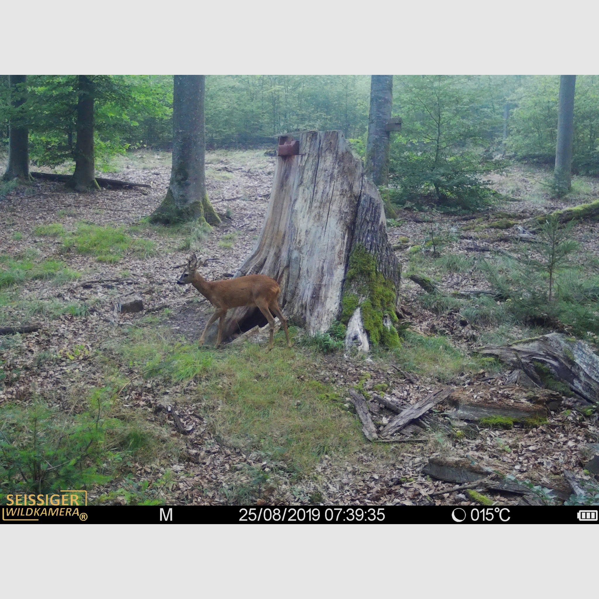 SEISSIGER Special-Cam CLASSIC