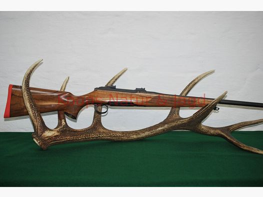 Sauer 101 Artemis
