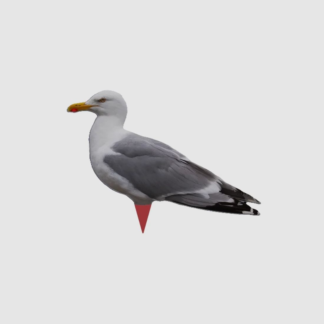 Silhouette-Lockvogel „Möwe“, 2er-Pack – Lockvogel