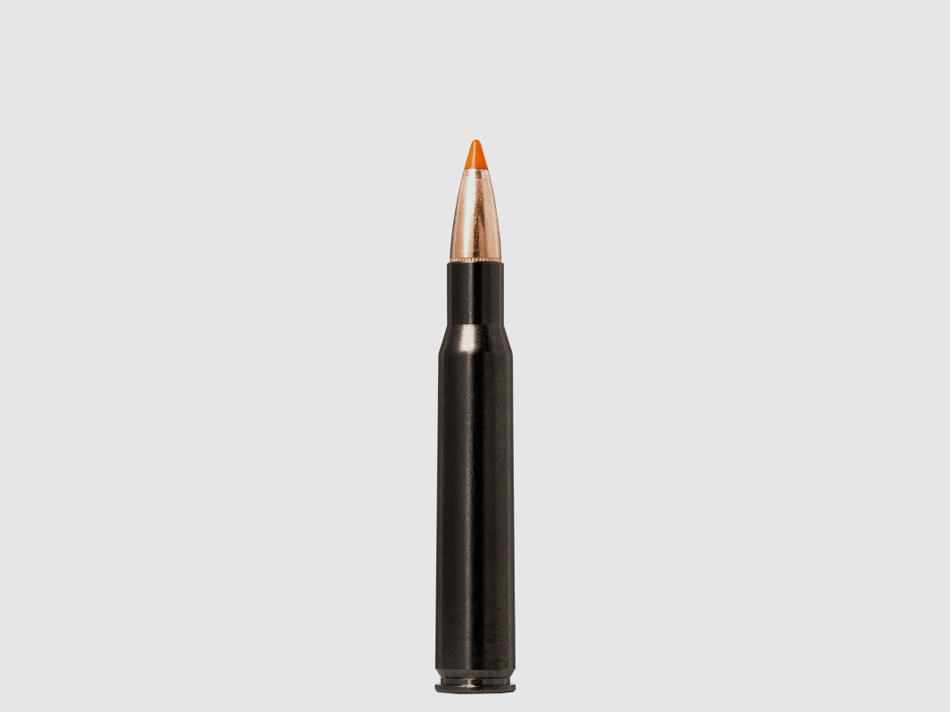 Norma .30-06 TIPSTRIKE SILENCER 11 g 170 gr - 20 Stk