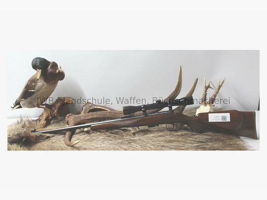 Anschütz 1400 .22lr