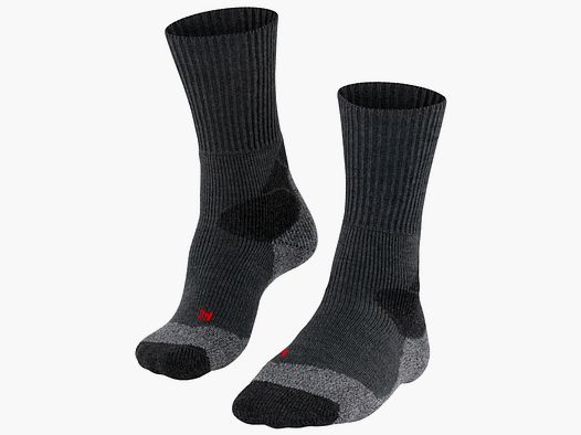 Falke Socken TKX Expedition Men