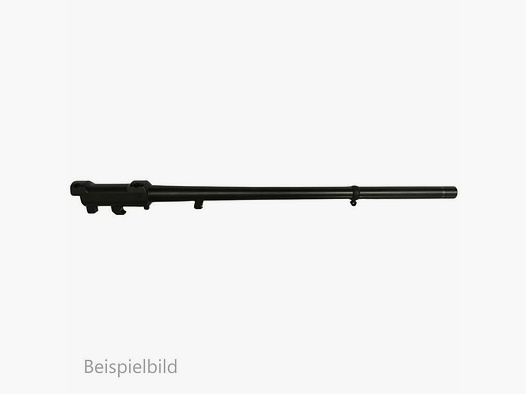 Blaser WL K95 15x1 o.o.V. 52 cm