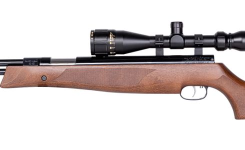 Luftgewehr Testsieger