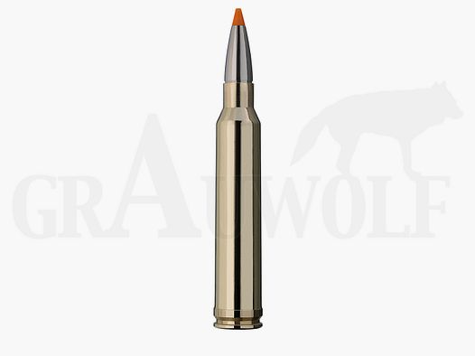 .300 Winchester Magnum 165 gr / 10,7 g RWS HIT cartuchos 20 piezas