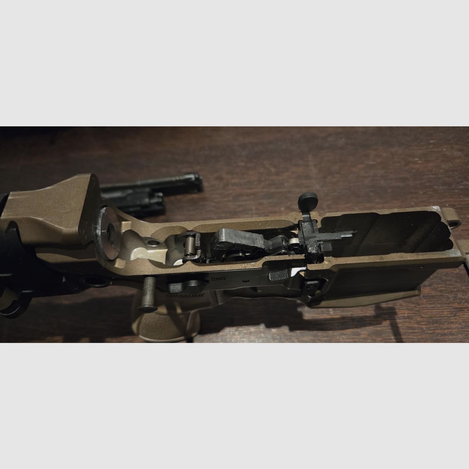APFG Spear LT mit SURG Upper und Zubehör
