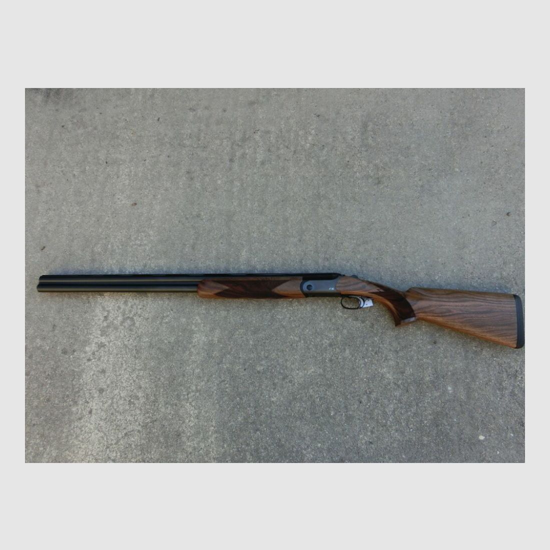 Blaser F16 Game