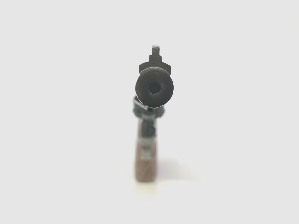 Taurus 96