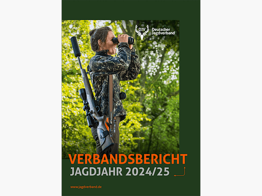 Rapport de l'association DJV 2024/2025