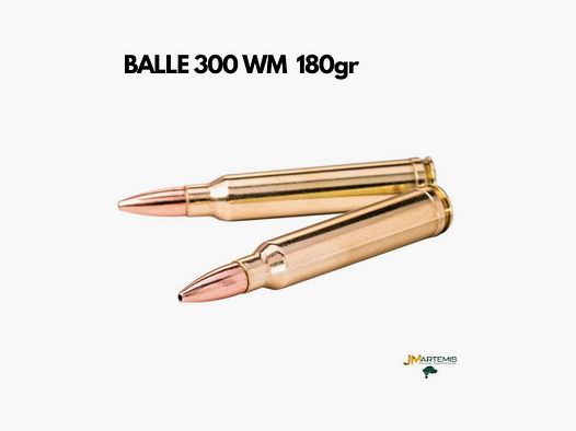 Winchester 300 WM Power max 180GR