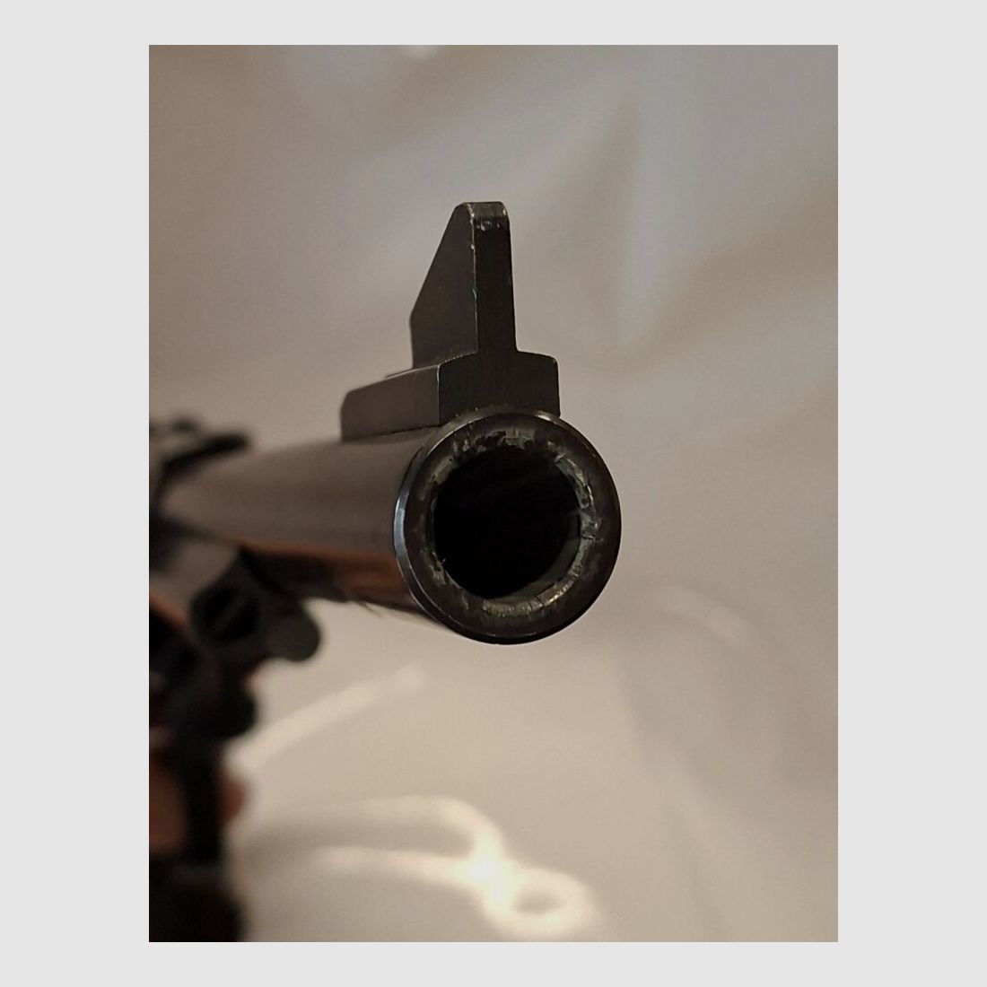 Ruger Black Hawk