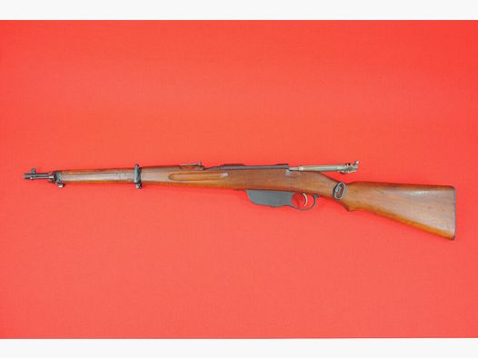 Steyr M1895