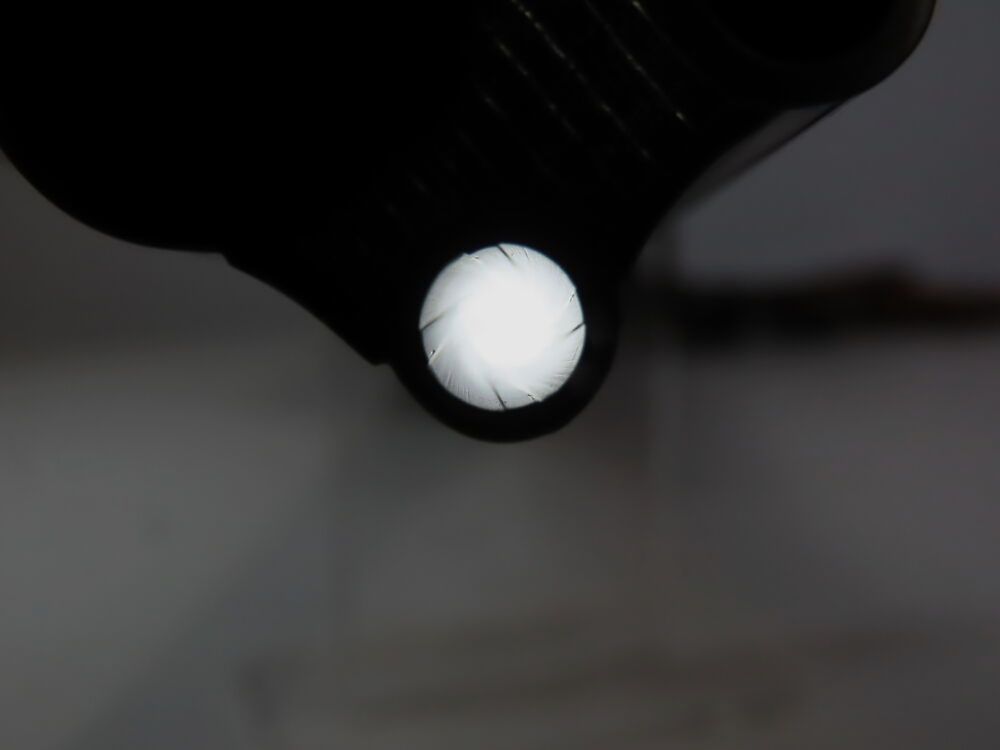 Moritz Zapf Bockdrilling