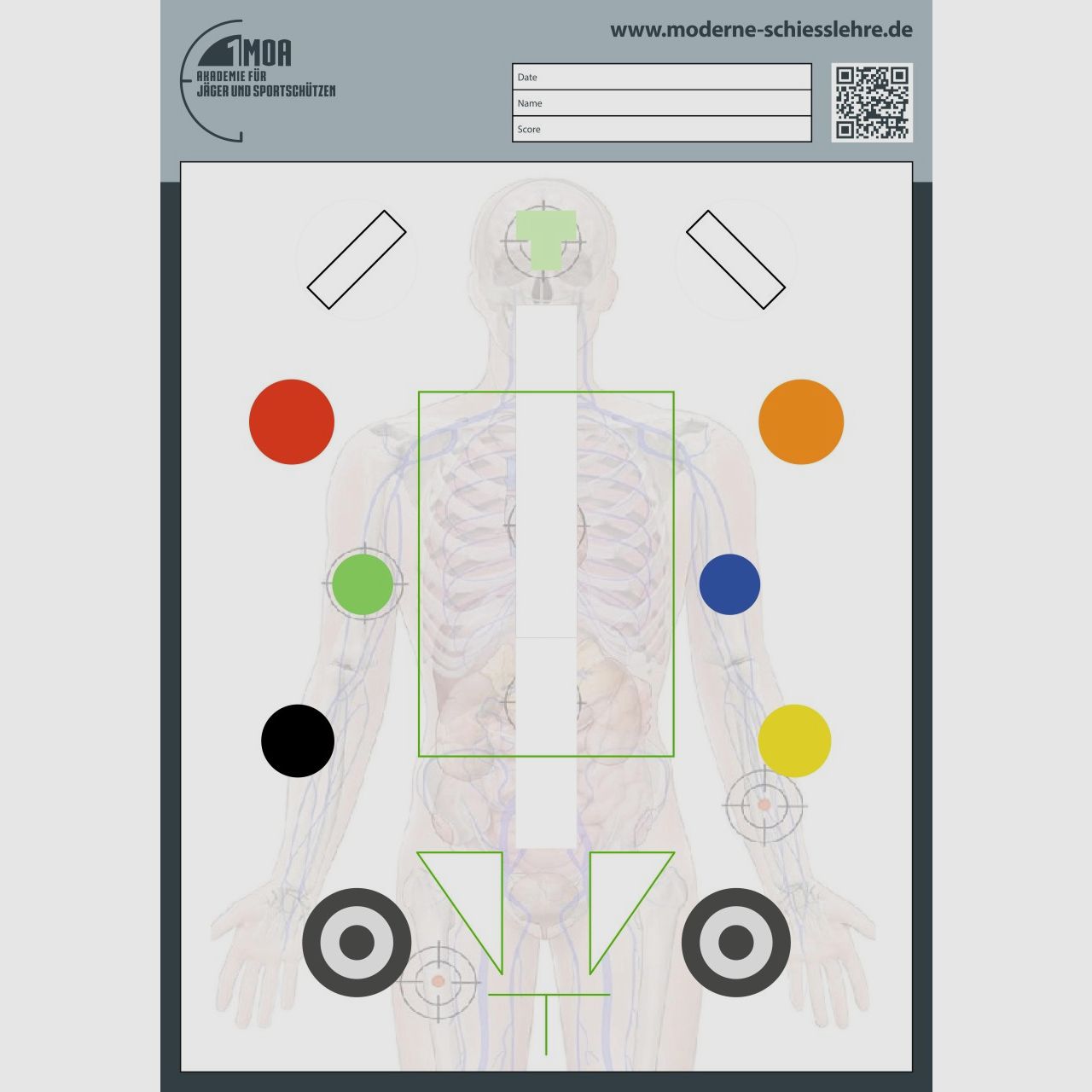 1MOA - Combined Anatomy Training Target DIN A1 Handgun Training for ...