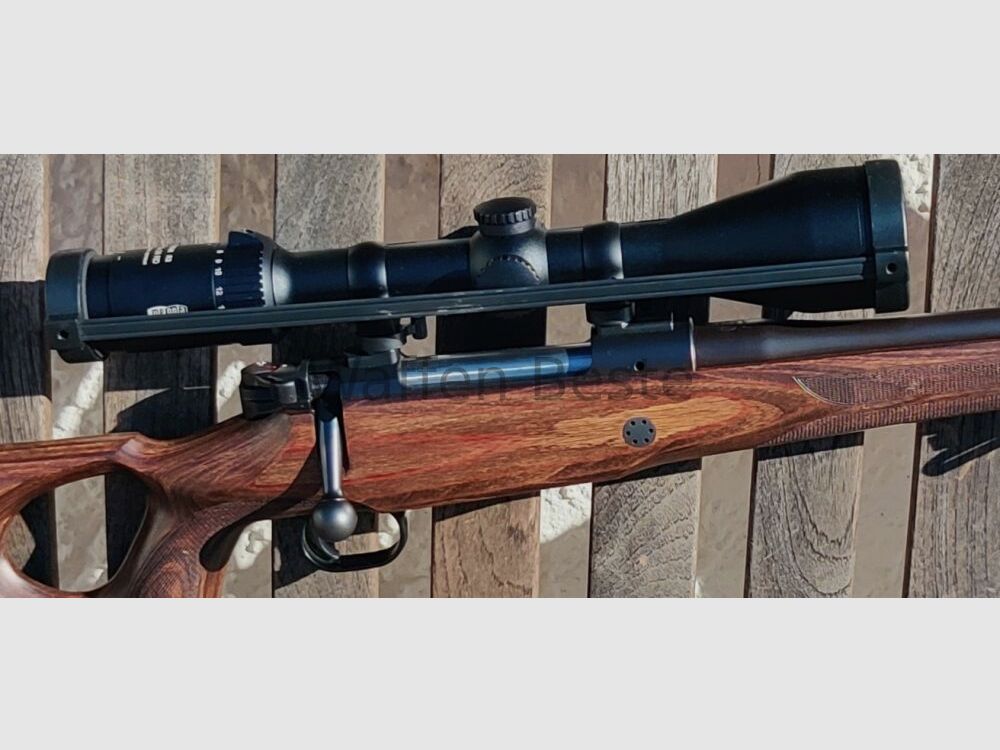 Mauser M12