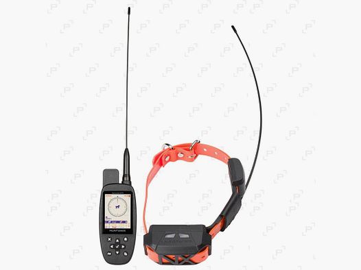Pack Halsband zur Ortung NUM’AXES CANICOM GPS MINI