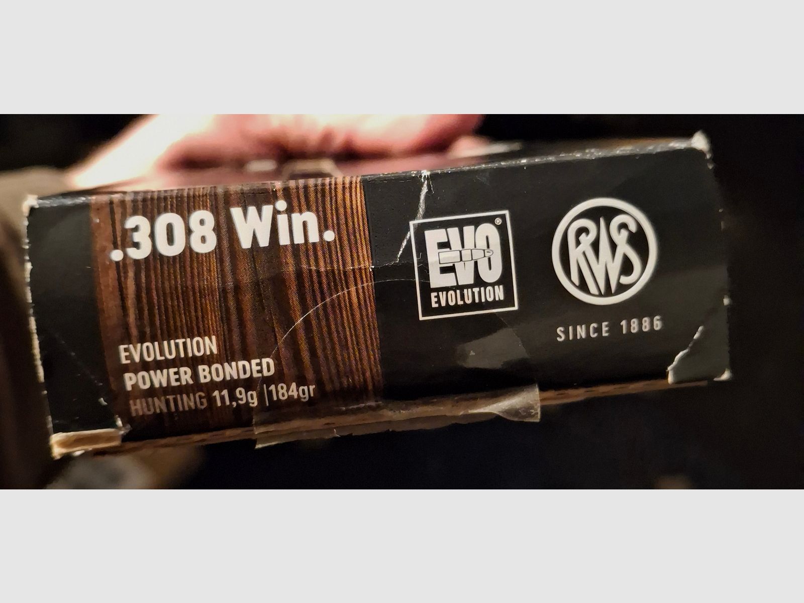 RWS .308 win. Evolution Hunting 11,9g / 184gr.