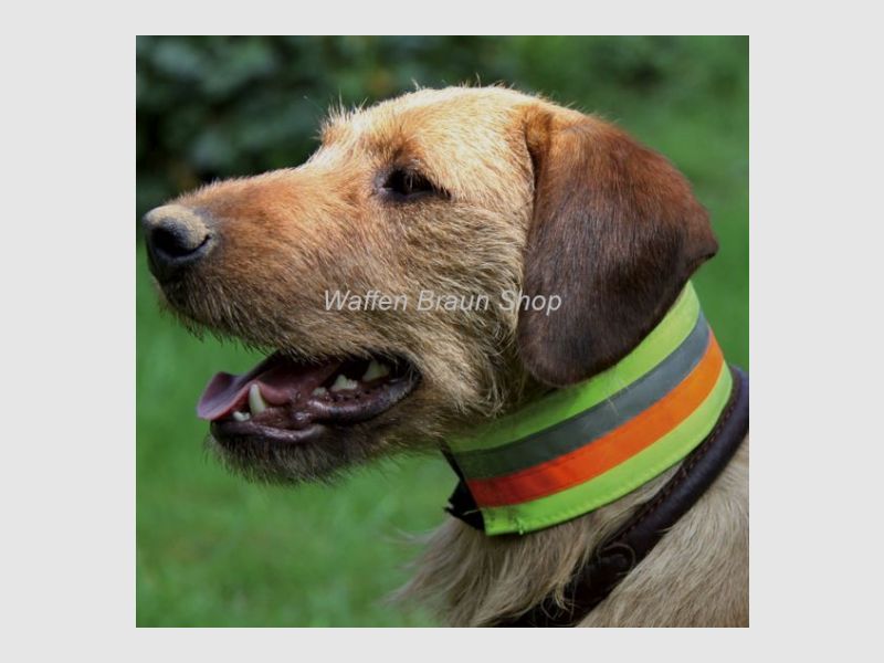 Reflektierendes Halsband, 7 cm breit, 55 cm lang