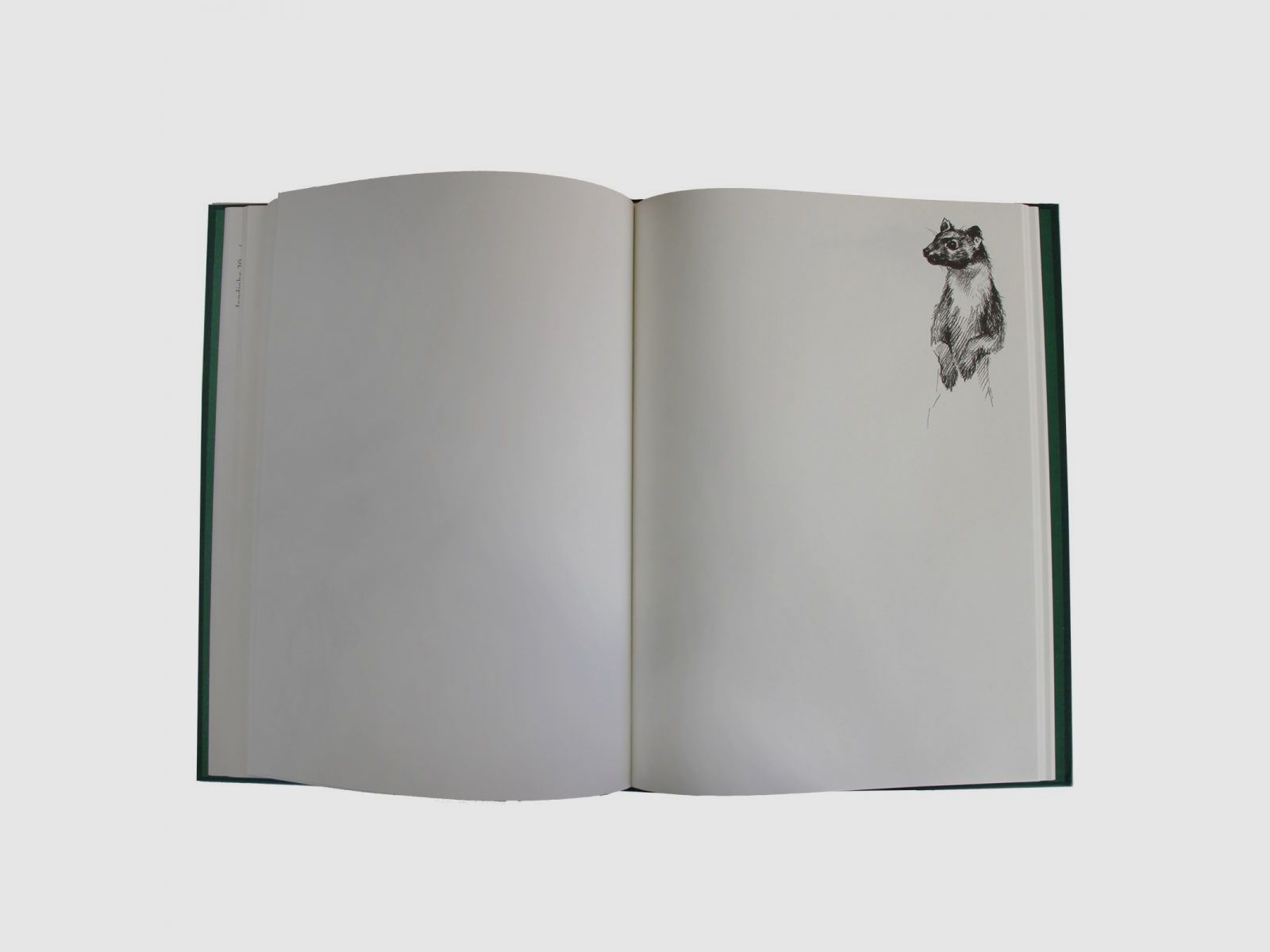 Schuss- / Jagdtagebuch