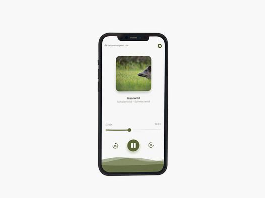 Audio Trainer Jägerschmiede