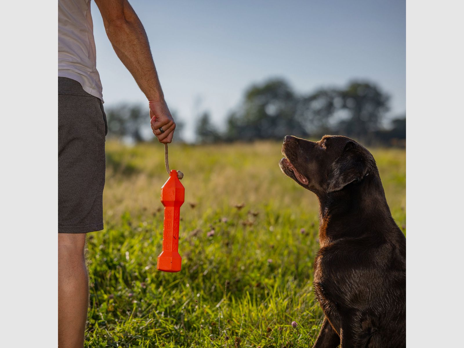 HP&G Apportierdummy Balance Bumper 320g Orange