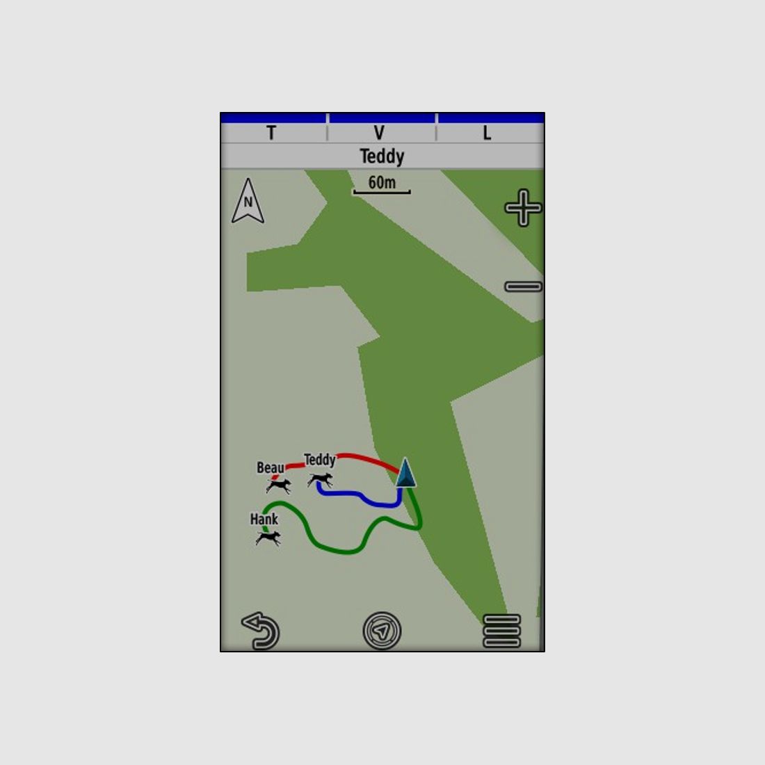 Pack GPS Garmin Alpha 200F Plus T20, Bild 1 von 5