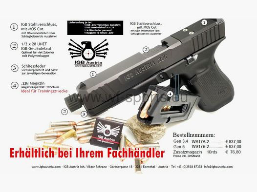 WS Glock 17 IGB .22