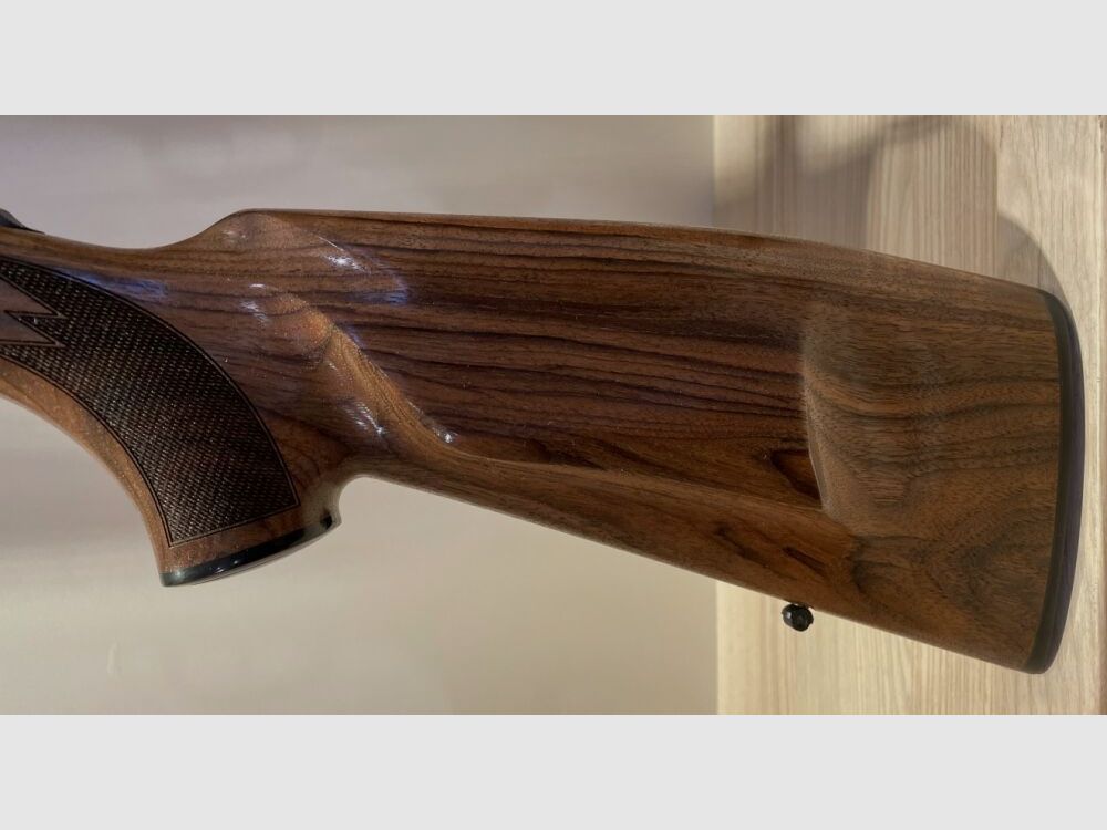 BLASER BBF 95 - incluso scatola di sistema nera !!