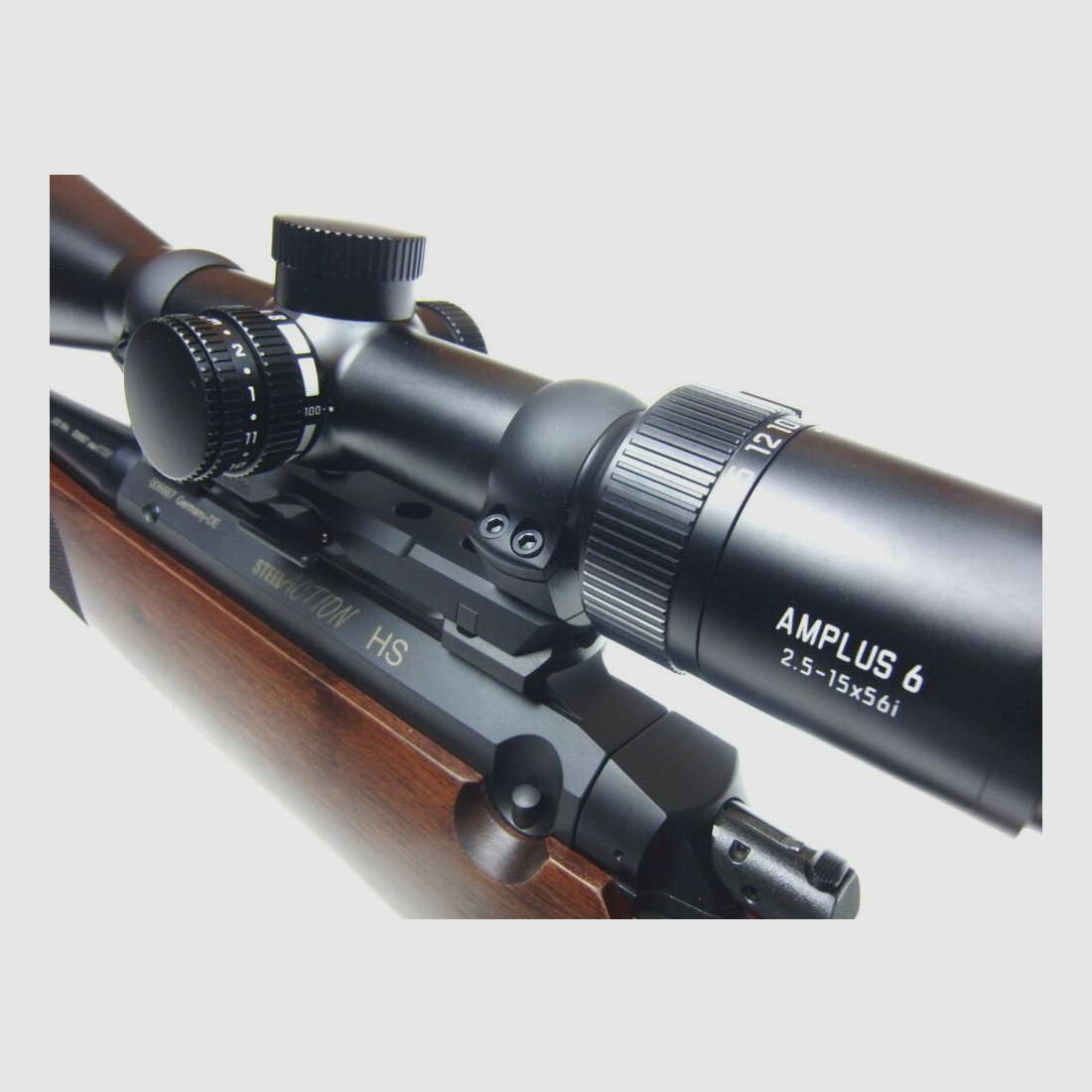 Steel Action	 Steel Action HS HK1 .308Win., Dentler, Leica Amplus 6, 2,5-15x56i
