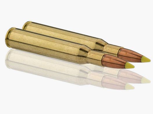 Sologne .270 Win Nosler Ballistic Tip 130 gr / 8,4 g - .270 Win Ballistic Tip 130 gr / 8.4 g