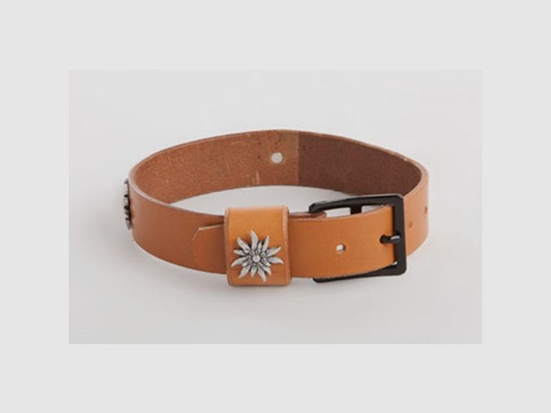 Hundehalsband, Original CH-Armee Ceinturon (neu) mit Edelweissbesatz