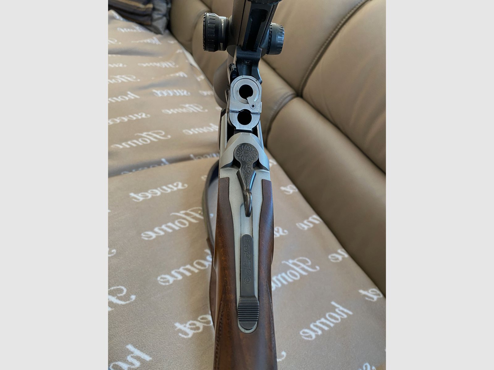 Blaser BBF 95 mit Einstecklauf und Zeiss Leuchtpunktvisier 