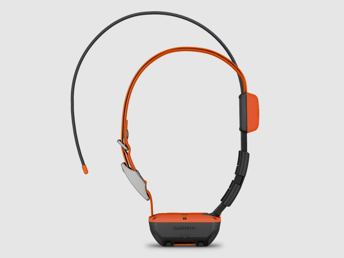 Garmin Alpha T 20 K GPS-Hundehalsband
