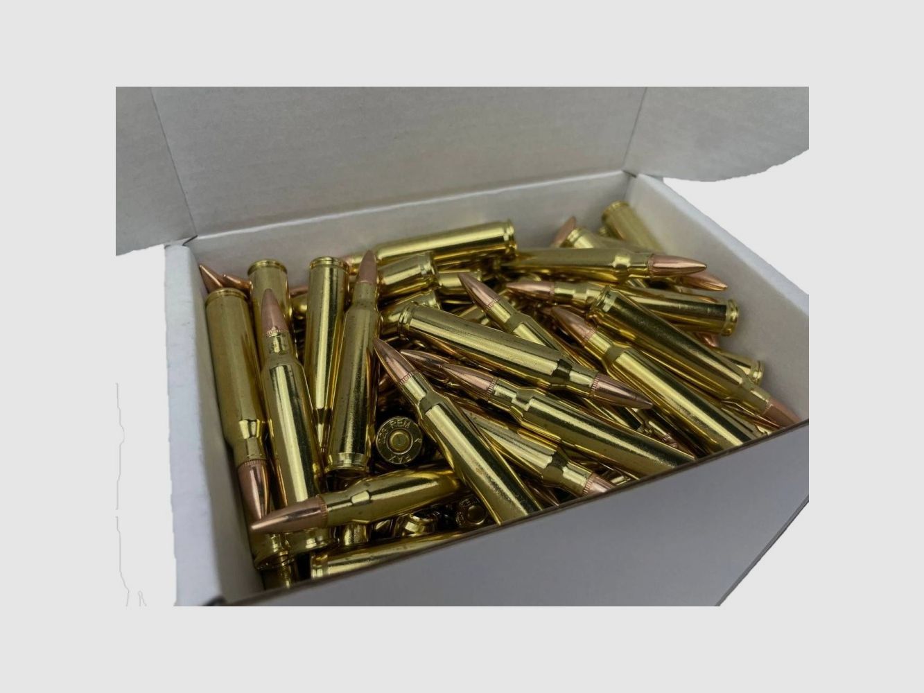 223 Remington PAX FMJ 55gr VE250