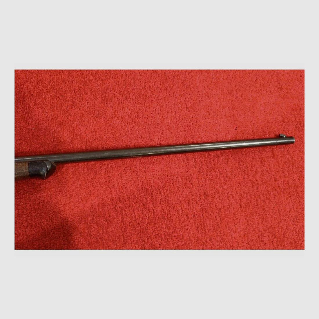 Albert Föhrenbach GmbH Falke .22lr