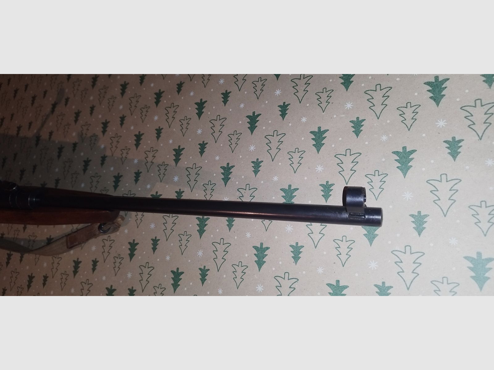 Wunderschöne Haenel 310 top Zustand