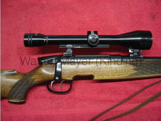 Steyr Mod.S