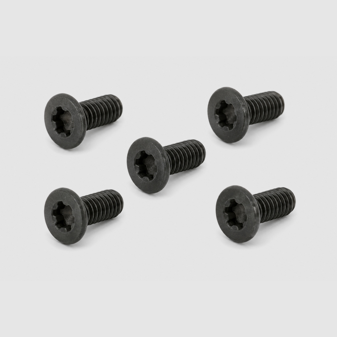 Spuhr M4x10 Tx20 Gen1 Haubenschrauben - 5 Stück