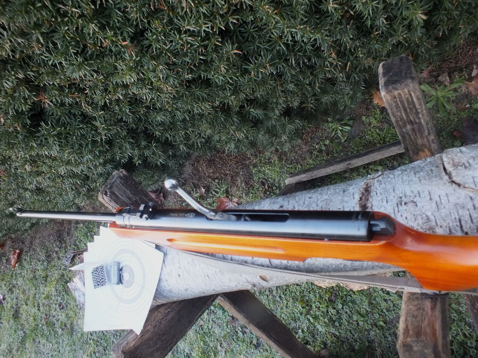 Fucile ad aria compressa Haenel 310-4 con calcio sportivo