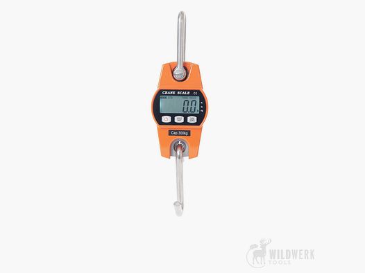 crane scale hanging scale