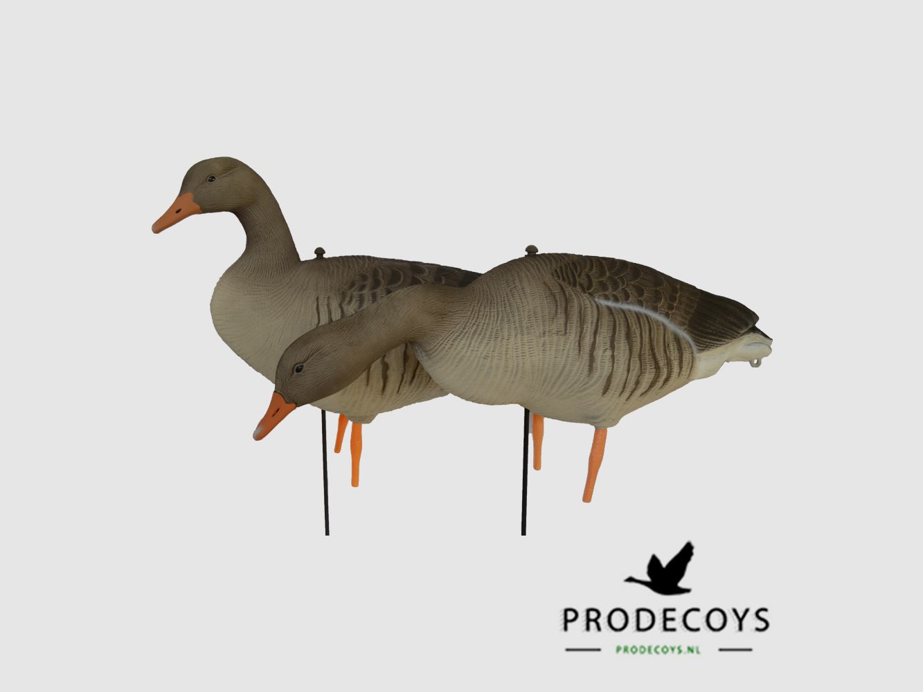 ProDecoys Full Body appelants d’oie cendrée Ultralight Series – 12 pièces, image 1 sur 7