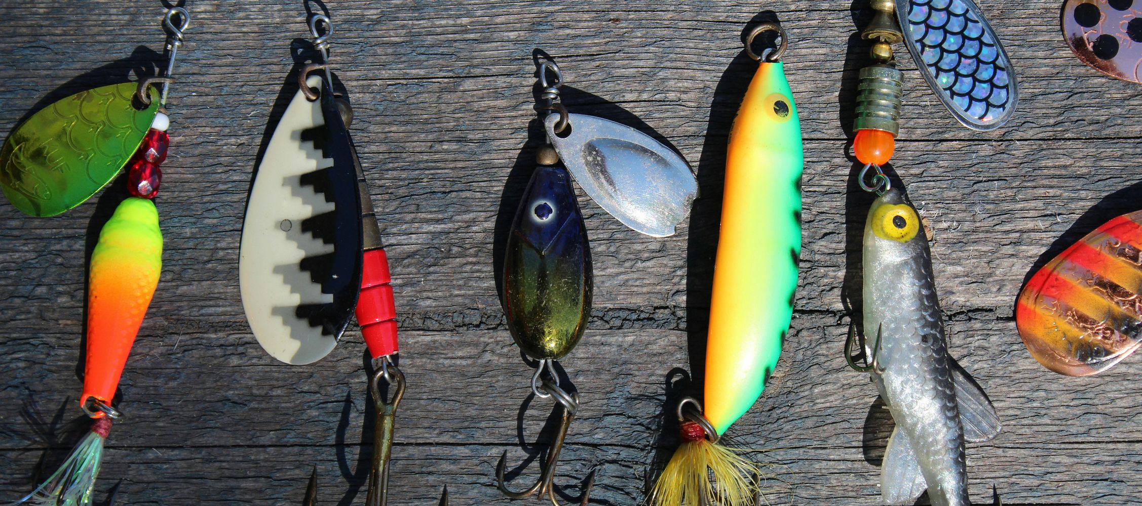 The Art of Hook Removal in Fishing: Tips, Techniques, and Tools