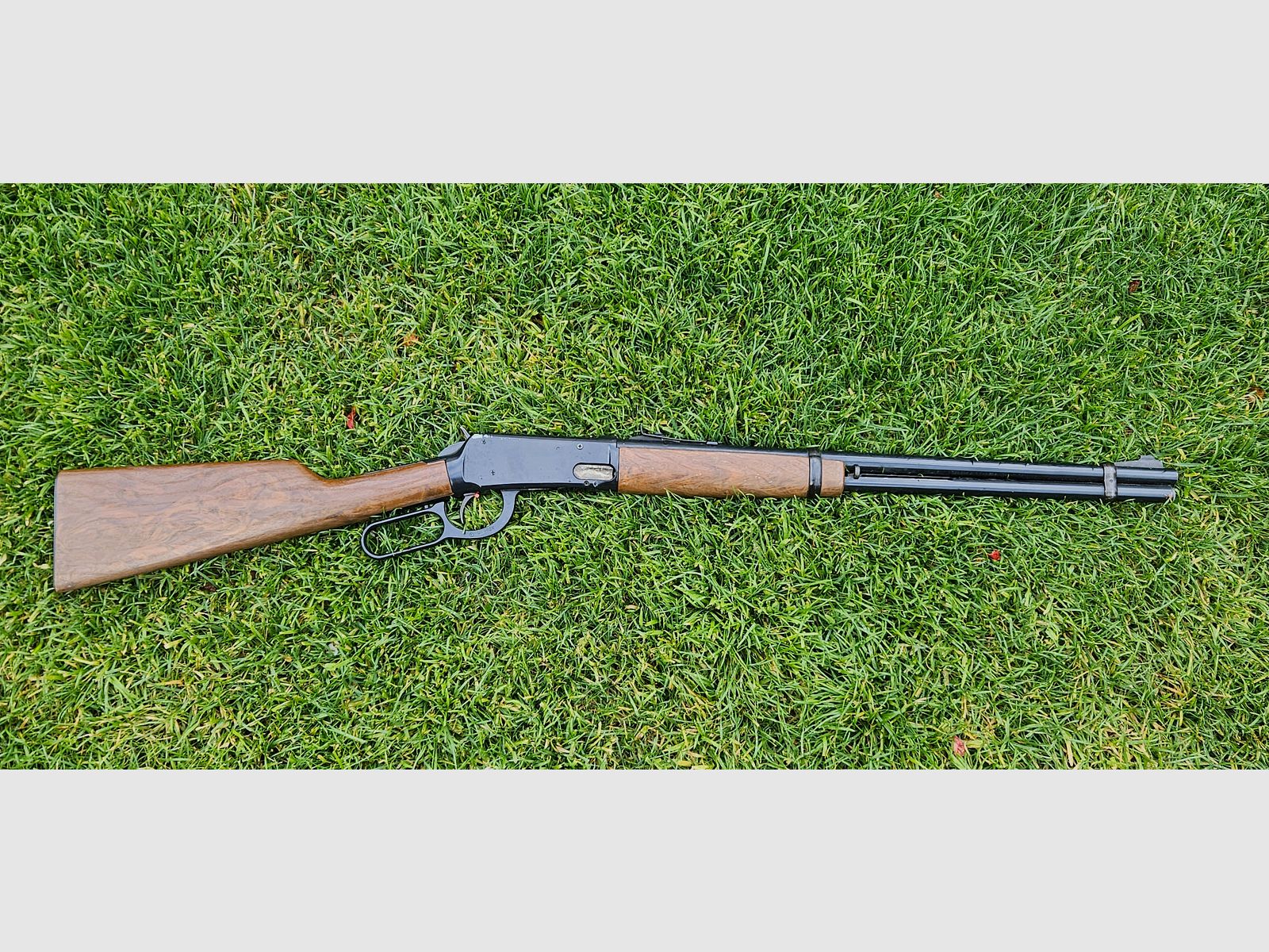Daisy Rogers AR U.S.A cal.4,5