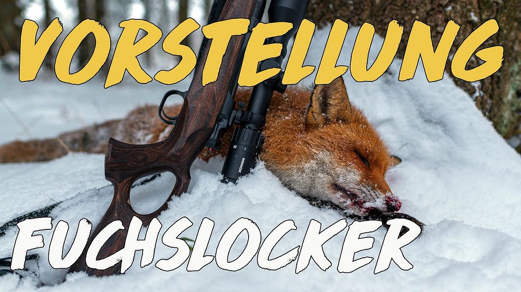 Vorstellung - Fuchslocker