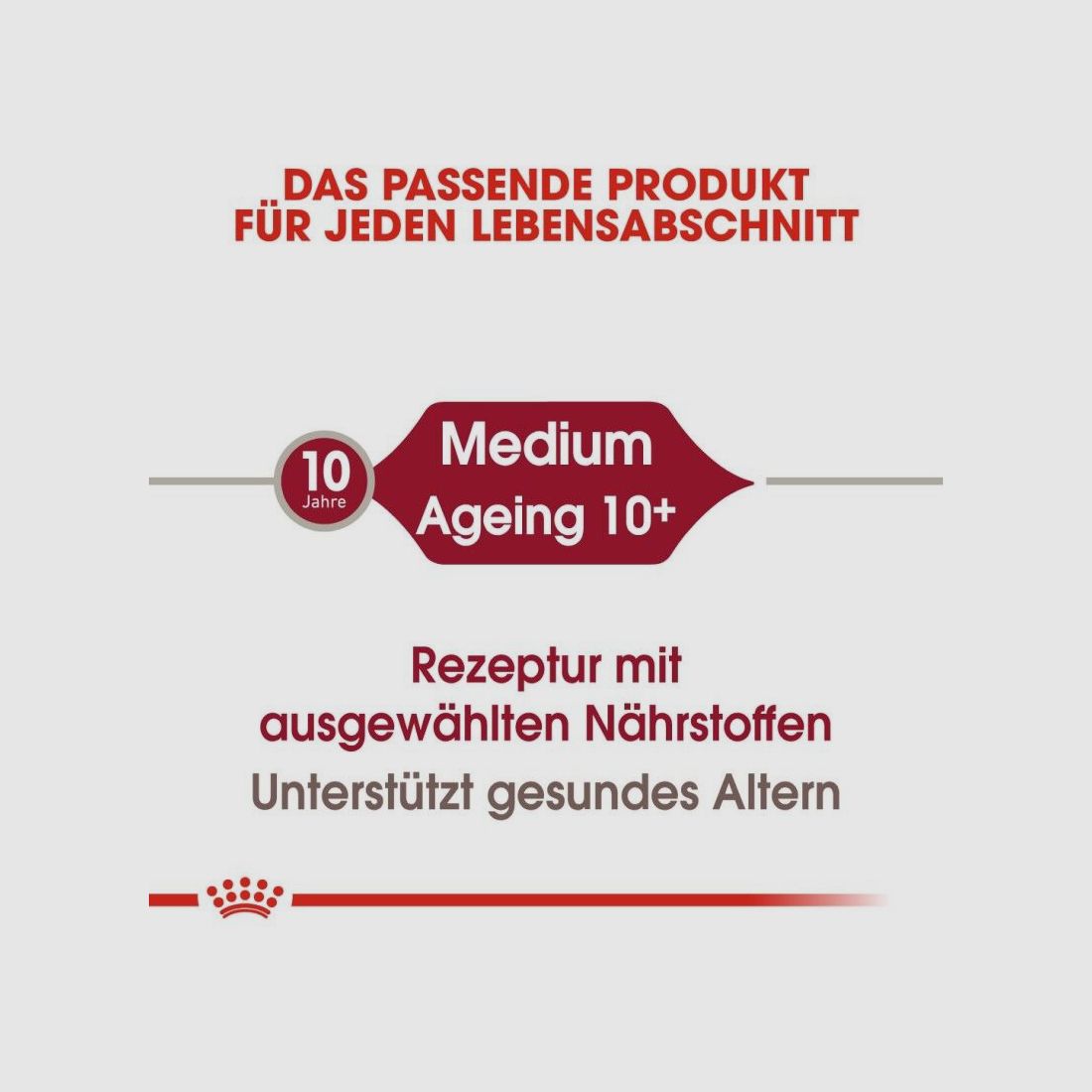 ROYAL CANIN Ältere Mittelgroße Hunde Nassfutter Medium Ageing 10+ 10x140 g