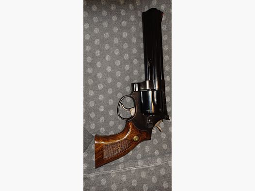 <Taurus 44Mag>